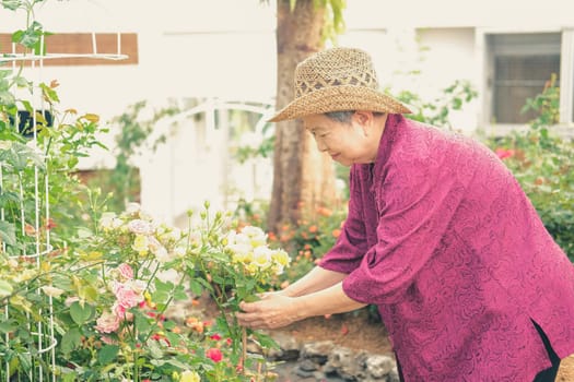 old elder woman resting in flower garden. asian elderly female relaxing in park. senior leisure lifestyle