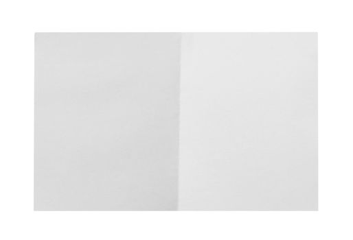 collection of white ripped pieces of paper on white background. each one is shot separately