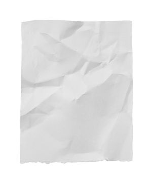 collection of white ripped pieces of paper on white background. each one is shot separately