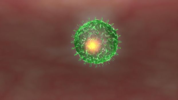 Antibodies destroy an infected cell by a virus, immun defense kill the infected cell 3D illustration