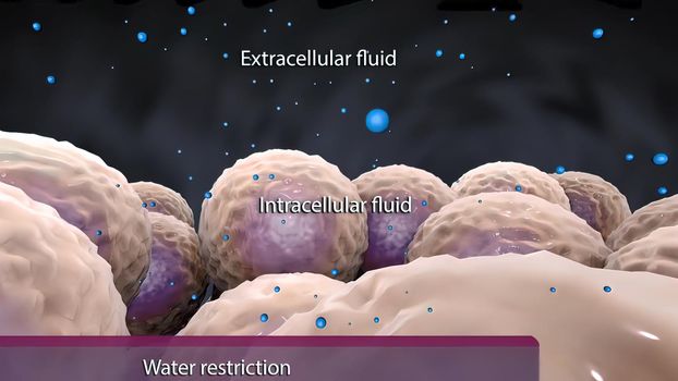 Interaction of cells with water 3D illustration