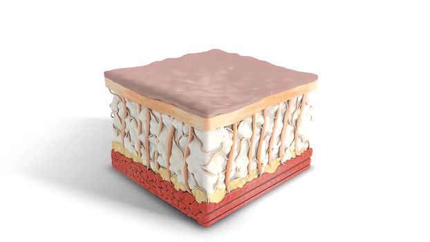 3D illustration simulation of fractional Laser Skin Resurfacing surgery procedure with two consecutive treatments