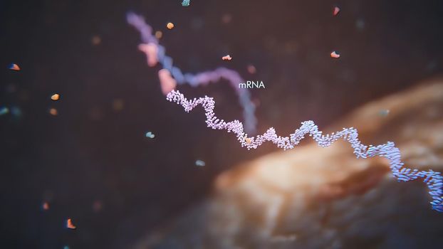 3d render illustration of Single strand ribonucleic acid. RNA research and therapy.