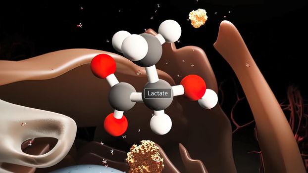 lactose, carbohydrate containing one molecule of glucose and one of galactose linked together. 3D illustration