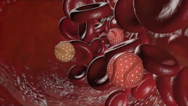 High-density lipoprotein (HDL) cholesterol is known as good cholesterol because it helps remove other forms of cholesterol from your bloodstream. 3D illustration