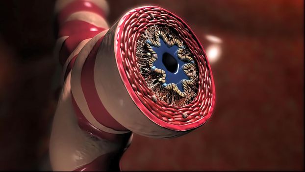 Lung Immunity and Inflammation 3D illustration