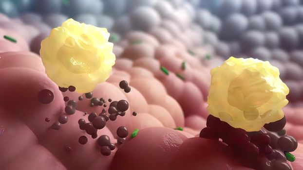 Memory T cell destroys infected cells 3D illustration