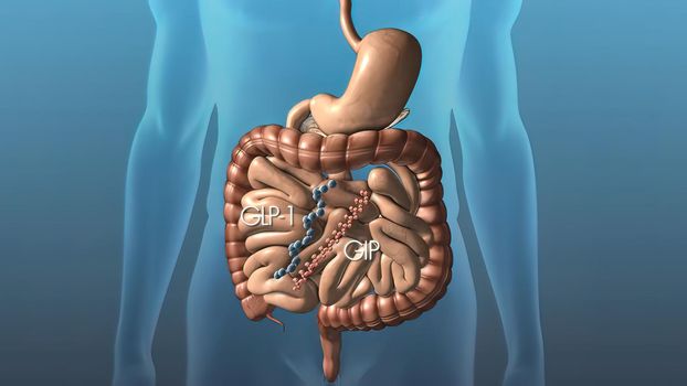 The importance of macrophage in the immune system 3D illustration