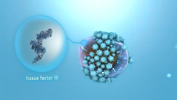 The expression of tissue factor (TF) by monocytes macrophages leads to thrombin generation and contributes to their physiological and pathophysiological roles 3d illustration