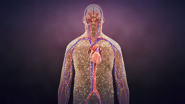 loss of bacteria in the body 3D illustration