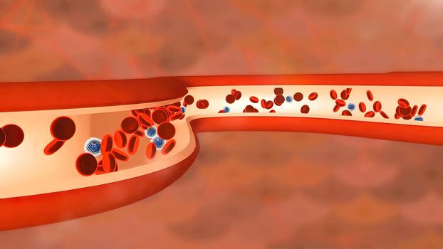 Macrophages are effector cells of the innate immune system that phagocytose bacteria and secrete both pro inflammatory and antimicrobial mediators. 3D illustration