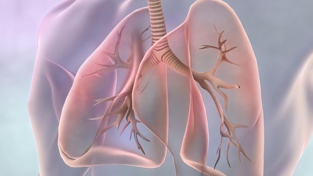 Lung cancer is one of the most common cancers in the world. Common symptoms of lung cancer include, constant chest pain and coughing blood. 3D illustration