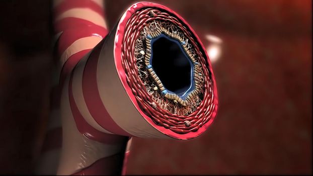 Lung Immunity and Inflammation 3D illustration