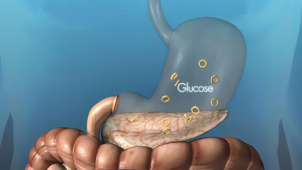 The importance of macrophage in the immune system 3D illustration