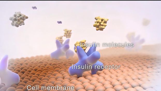 Insulin is a hormone produced by your pancreas that controls the amount of glucose in your bloodstream at any given time. 3D illustration