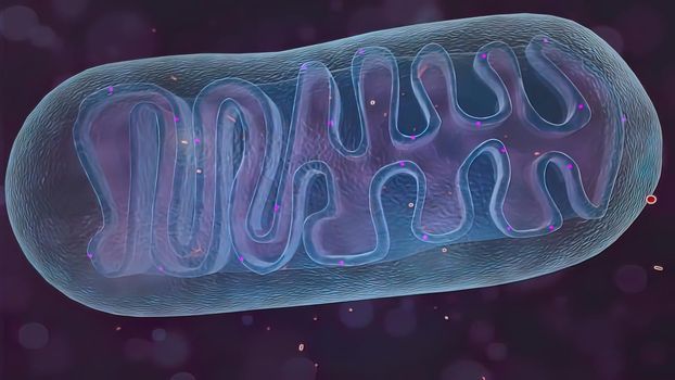 Mitochondria is one of the cell organelles 3D illustration