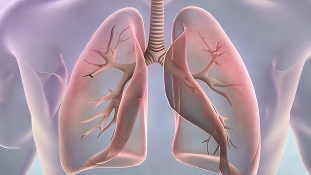 Lung cancer is one of the most common cancers in the world. Common symptoms of lung cancer include, constant chest pain and coughing blood. 3D illustration