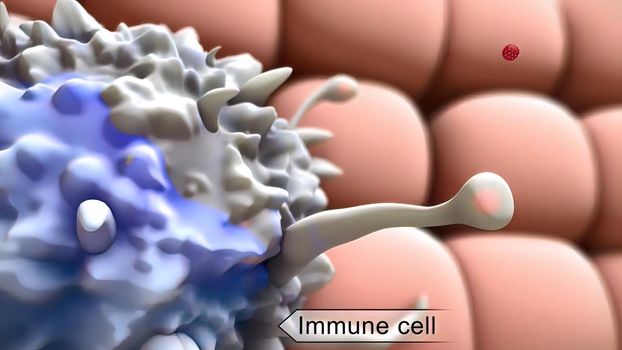 Dendritic cell presenting an antigen to T-lymphocytes. The antigen is a peptide from a tumor cell, bacteria or virus. 3d illustration