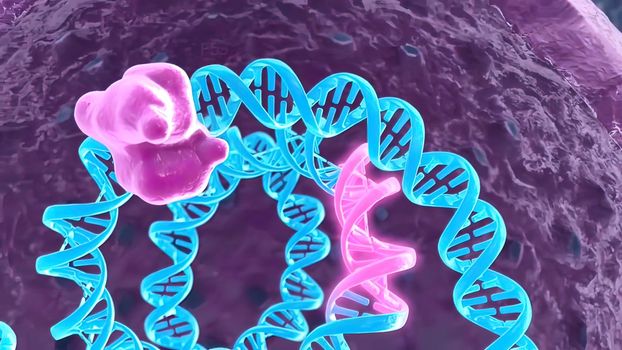 Current, occurring, or functioning state within a cell. Cell functions. 3D illustration