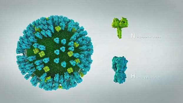 Swine flu is a viral disease of humans virus. 3D illustration