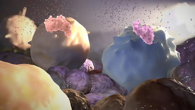 Macrophages are effector cells of the innate immune system that phagocytose bacteria and secrete both pro inflammatory and antimicrobial mediators. 3D illustration