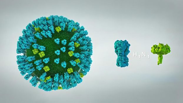 Swine flu is a viral disease of humans virus. 3D illustration