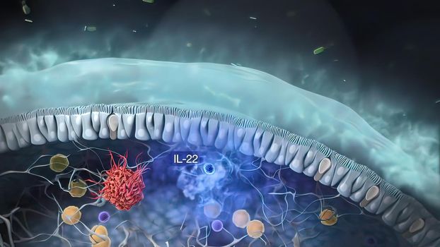 Identification of the ILC progenitor cell. Innate lymphoid cells are the most recently discovered family of innate immune cells. 3D illustration