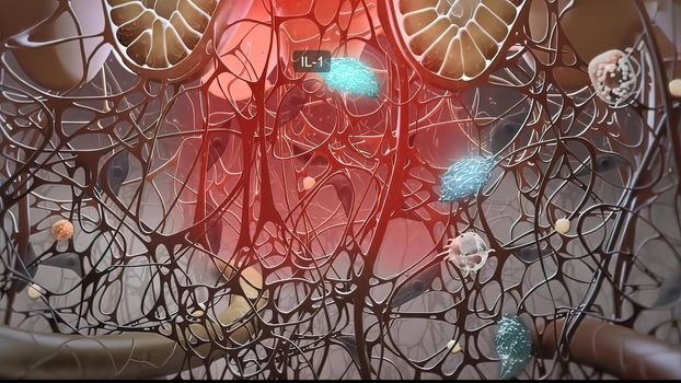 immune system and defense system 3D illustration