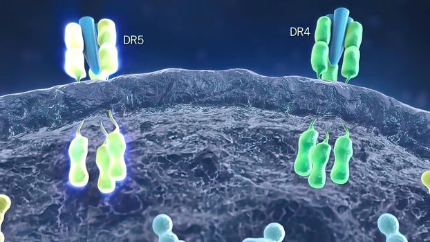 Current, occurring, or functioning state within a cell. Cell functions. 3D illustration