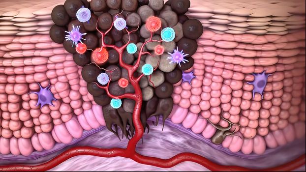 The immune system defends our body against invaders, such as viruses, bacteria, and foreign bodies.3D illustration