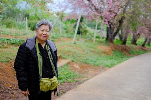 old elder woman resting in garden. asian elderly female relaxing outdoors. senior leisure lifestyle
