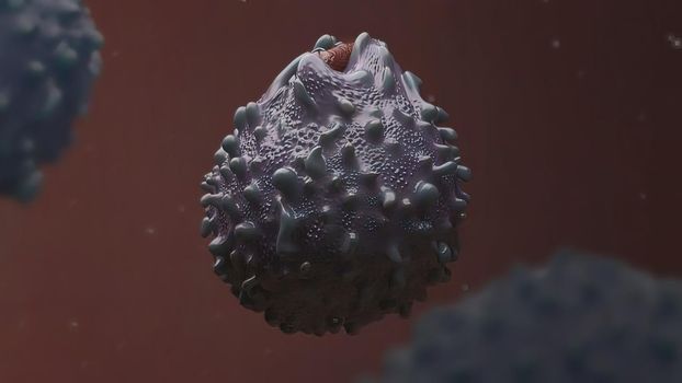 3D Medical illustration of Macrophage Phagocytosis.The process by which macrophages engulf and digest cells and pathogens