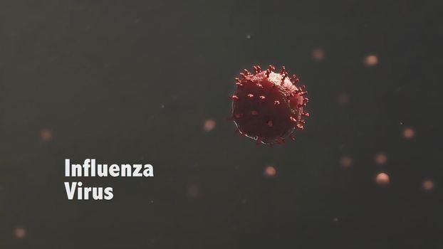 Influenza A and B viruses are influenza viruses that cause outbreaks in humans. 3D illustration