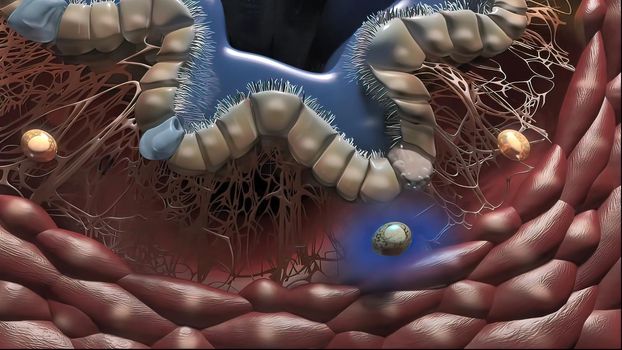 Lung Immunity and Inflammation3D illustration