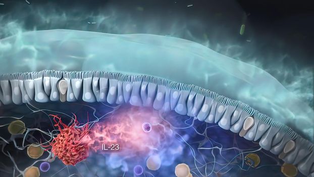 A lymphocyte is a type of white blood cell in the immune system of most vertebrates. 3D illustration