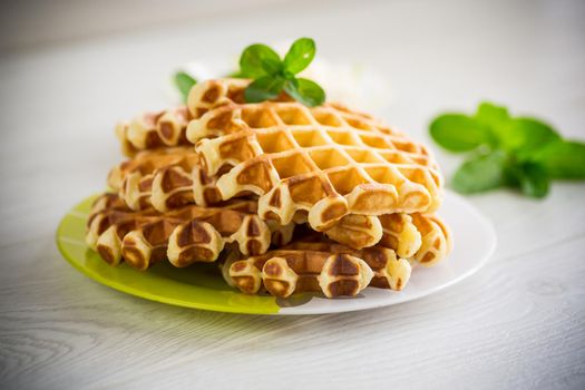 Sweet cottage cheese wafers with a sprig of mint in a plate, on a wooden table.