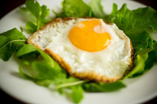 one fried egg with arugula and lettuce in a plate on a wooden table