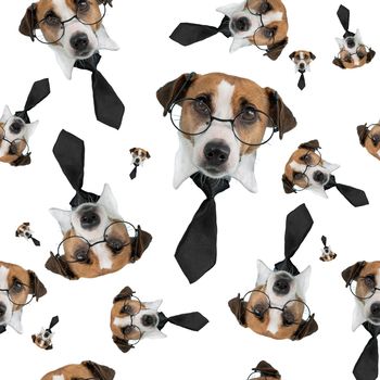 Muzzle of a Jack Russell Terrier dog with glasses and a tie on a white background. Isolate. Seamless pattern