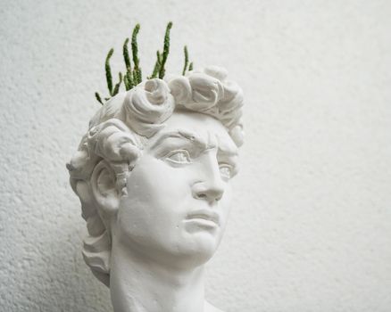 Gypsum pot with a houseplant in the shape of an antique man's head