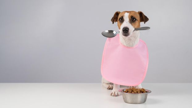 Jack Russell Terrier dog in a pink bib holding a spoon in his mouth