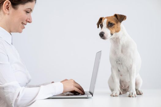 Caucasian woman working on laptop with jack russell terrier dog on table