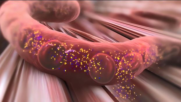 The insulin tells cells throughout your body to take in glucose from your bloodstream 3D illustration