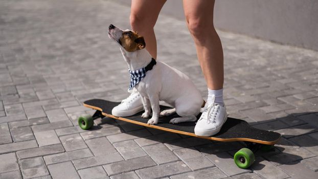 Caucasian woman riding a longboard along with dog jack russell terrier