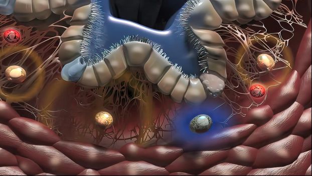 Lung Immunity and Inflammation3D illustration