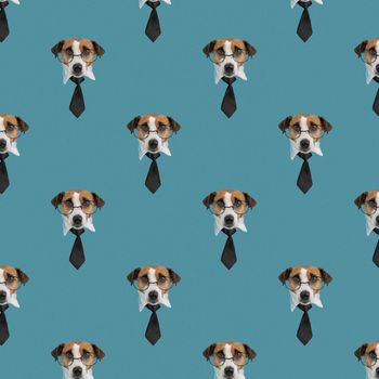Muzzle of a Jack Russell Terrier dog with glasses and a tie on a blue background. Isolate. Seamless pattern