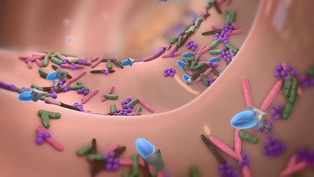 The immune response is how your body recognizes and defends itself against bacteria, viruses, and substances that appear foreign and harmful to the body.3D illustration