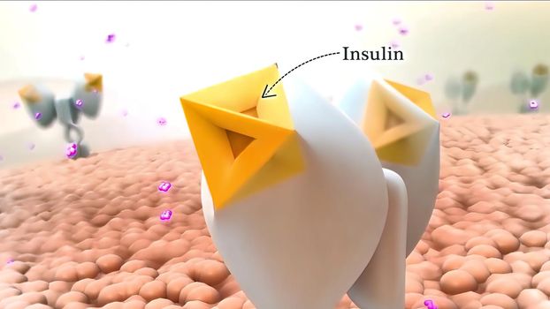 Insulin is a hormone produced by your pancreas that controls the amount of glucose in your bloodstream at any given time. 3D illustration