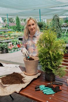 Young woman planting a bush in flower pot using dirt in garden center