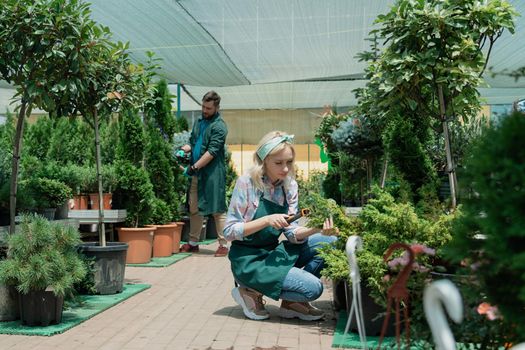 Gardeners work in modern nursery plant store in a greenhouse