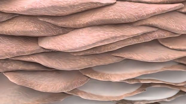 Lotion drops for dry skin. 3D Medical illustration representation of skin hydration